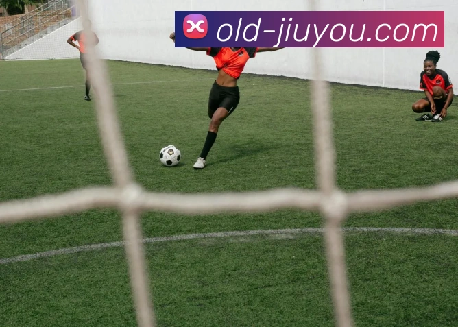 九游体育官方网站平台生态图